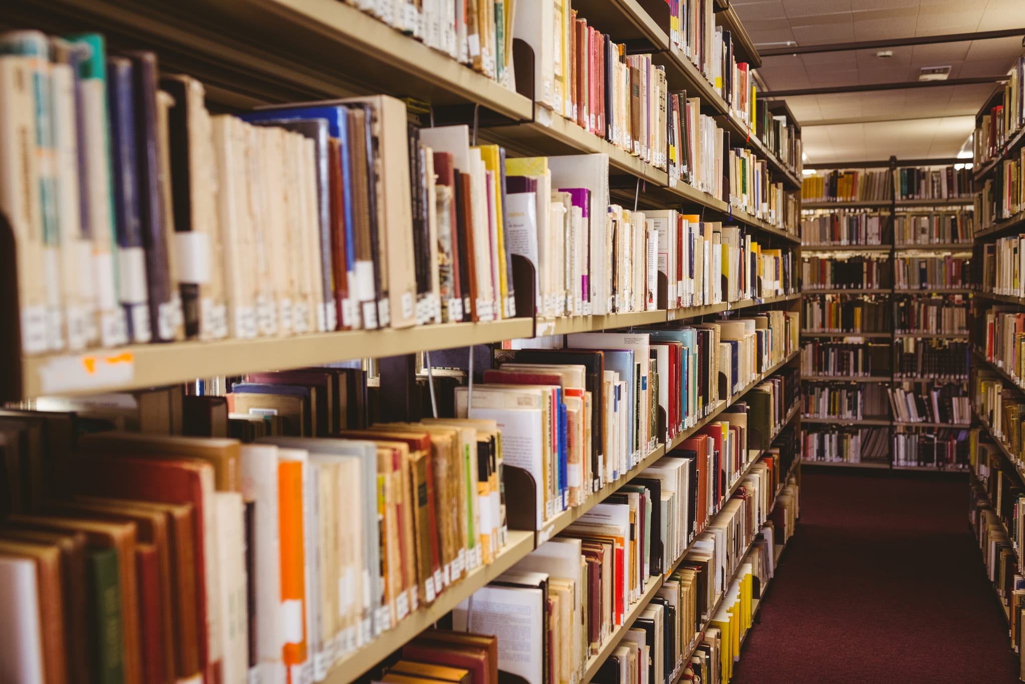 Rows of books on a library shelf